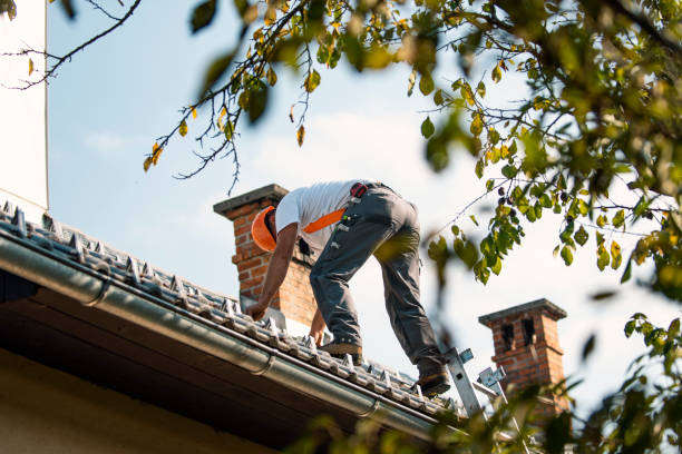 Steel Roofing in Goldstream, AK